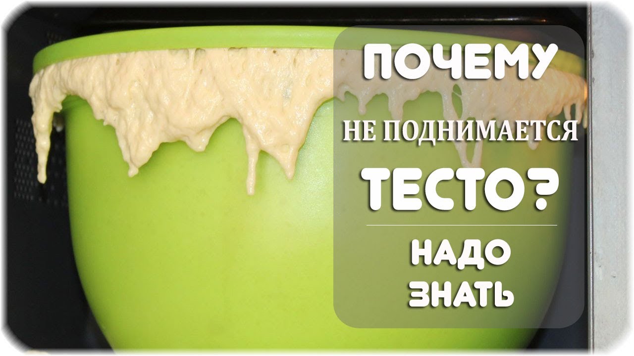 Тесто для пиццы из пшеничной муки. Дрожжевое тесто в разрезе. Тесто поднимается. Что делать если тесто не поднимается дрожжевое. Тесто поднимается.