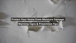 Moisture Damage Warning Signs | How to Protect Your Home & Prevent Costly Repairs