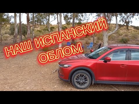 Наш испанский облом. #испания #внжиспании #иммиграция #эмиграция #переездвиспанию #торревьеха