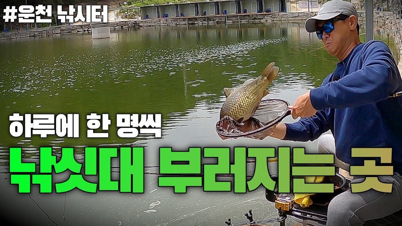 팔에 멍들었습니다.. 대어 힐링 낚시터의 끝판왕 운천 낚시터   #fishingvideo