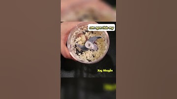 công thức ếch xào lá lốt (phần 1)