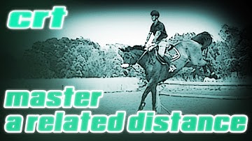 Show jumping training videos - Master a related distance (beginner and advanced)