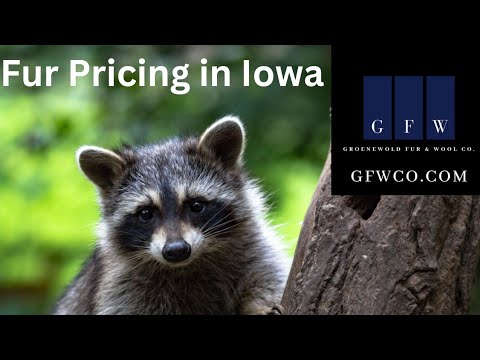 Fur Pricing Update