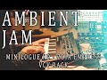 Marble Rain - Minilogue XD, Zoia Empress, VCV Rack, Semi Modular Ambient Jam