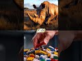 Animals + Lego
