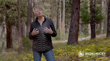 Janine Benyus on Biomimicry – Innovation Inspired by Nature