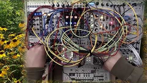 Eurorack Modular Live Jam - Tech-House / Acid / Dub-Tech - Roland TB-03 Synced To The System