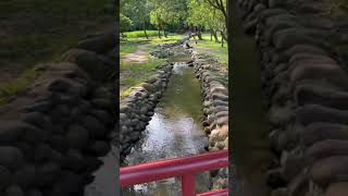 龍潭三坑自然生態公園 舒服😌