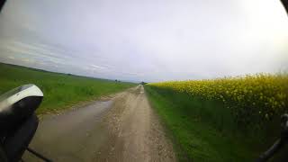 05 Duchonka Prašice