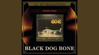 Kau Datang Bawa Cahaya