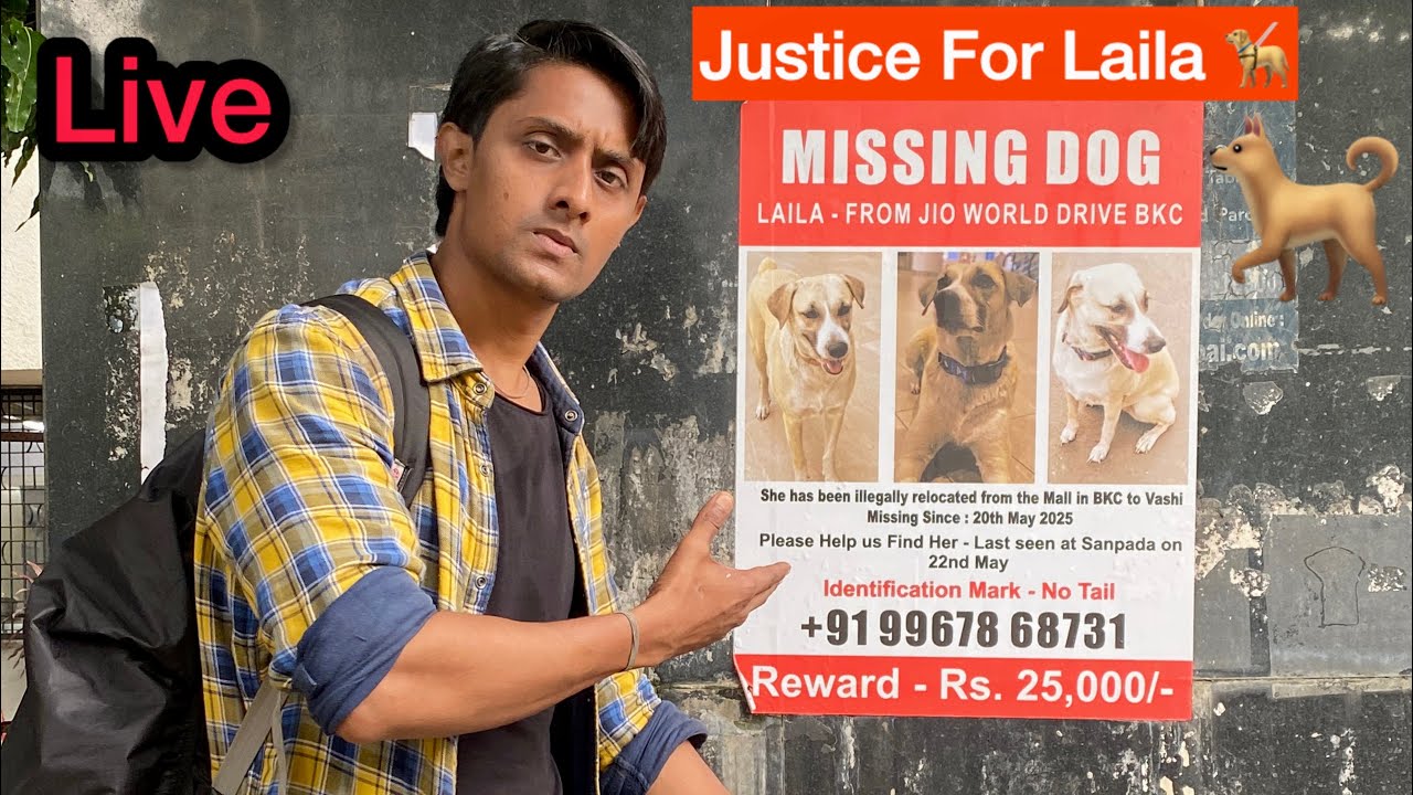 Justice For Laila Community Stray Dog Akram Rider W/ Seraj Is Live #dog #jioworlddrive