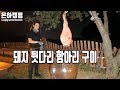 돼지 뒷다리 통째로 굽기/캠핑/ Pork/BBQ/Bushcraft/Camping/Outdoor/캠핑요리