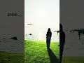 ଜୀବନ #youtubeshorts #vediography #tranding #odiasong #odiajhia #emotional #lifejourney #ytshorts