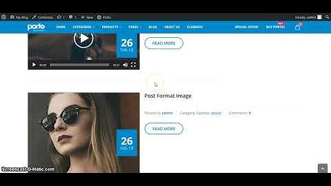 Porto WordPress(How to Configure/Change Search Result Page Layout)