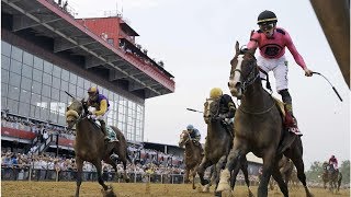 War Of Will Charges To Victory At Preakness Stakes