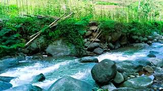 Whispers of the Streamside | ASMR for Healing