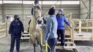 Mounting and Dismounting