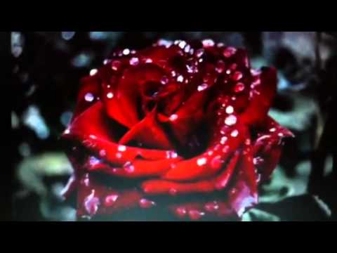 E.M.D - Välkommen Hem E.M.D - Välkommen Hem
