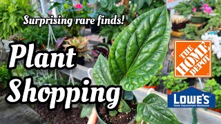 PLANT SHOPPING DAY!! Home Depot, Lowe's & Rose Hill Nurseries!! I finally bought a Pink Princess? 😬💕