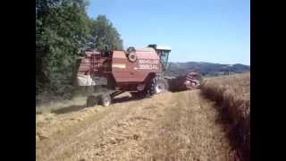 moisson d'orge 2011