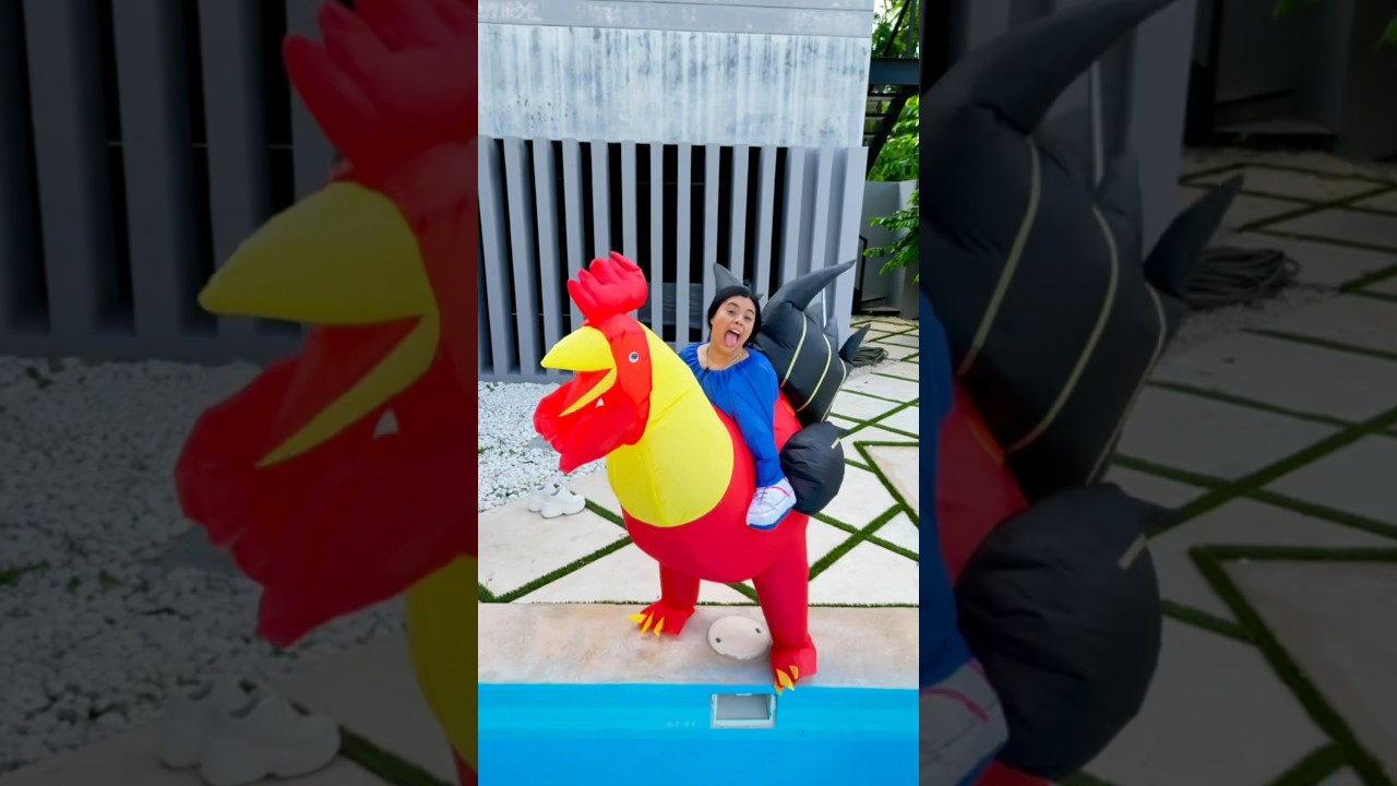 Broma de la gallina gigante a mi novio ?