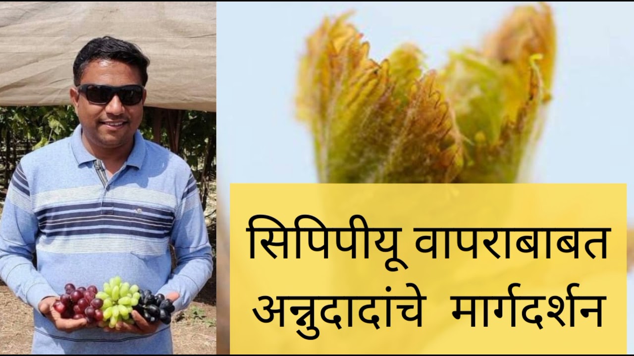 सिपिपीयू वापराबाबत अन्नुदादांचे  मार्गदर्शन