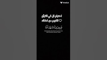 ❤️ القرآن الكريم.ولا تحسبن الذين قتلوا في سبيل الله امواتا❤️