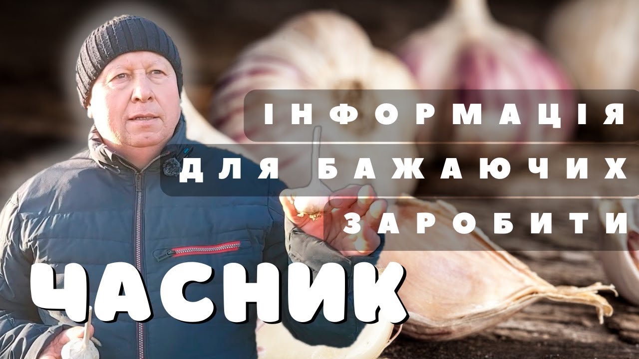 ЧАСНИК | Скільки коштує ВИРОЩУВАННЯ та що можна ЗАРОБИТИ?