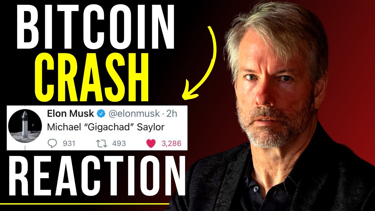 Gigi ⚡🧡 dergigi.com/nostr on X: 1/ GigaChad, the thread. Why Michael  Saylor is - and probably will remain to be - the #Bitcoin GigaChad for  quite a while. 👇  / X