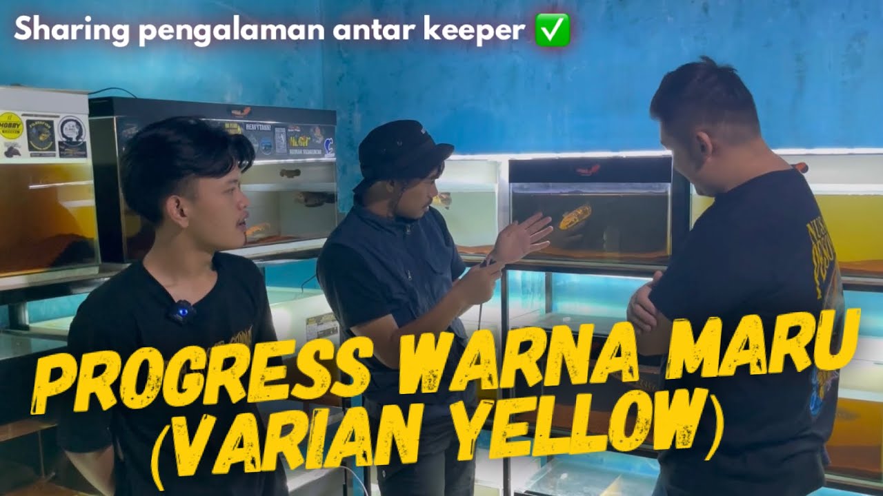 Tips PROGRESS WARNA channa maru @toobil & @fajararief12_ #sharingkeepermaru