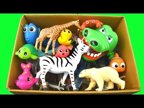 Learn Wild Animals in a Box and Shark Toys For Kids