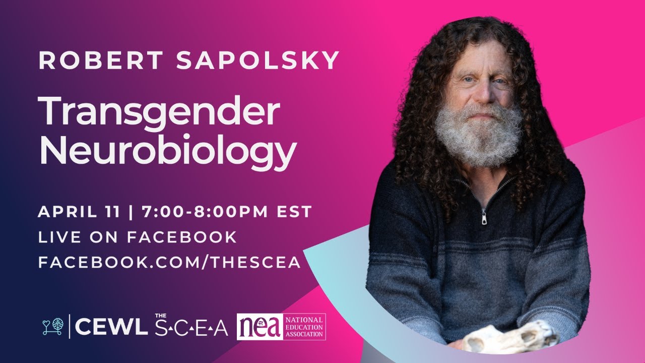 Transgender Neurobiology with Dr. Robert Sapolsky - YouTube