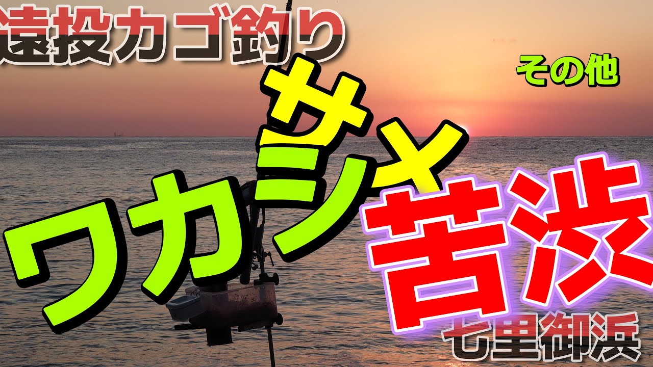 七里御浜2025秋 七里御浜で遠投カゴ釣り！　例年ならシマアジ・カツオ・ワカシ・サバが絶好調なこの時期。しかし今年はサメが大量接岸！今日はサメによる影響を交わしながら、青物を狙います