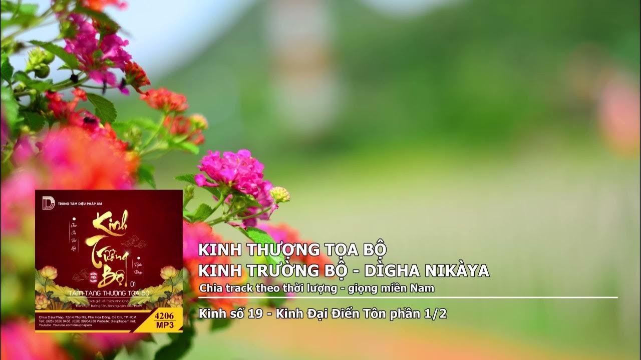 K.số 19 – K.Đại Điển Tôn phần 1–2 giọng miền Nam 