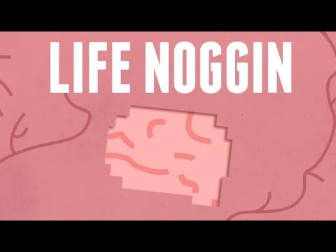 Welcome To Life Noggin!