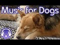 Dog Relaxation Therapy Music - Instantly Soothe Your Dog (NEW)