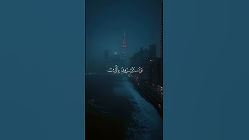 ( فَرِحِينَ بِمَا آتَاهُمُ اللَّهُ مِنْ فَضْلِهِ...)🌿سورة آل عمران 🌿المنشاوى#تلاوة_هادئة