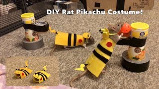 Making a DIY Pikachu Costume for my Rats!