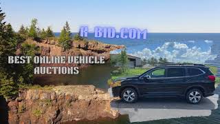 🎯 Public Auto Auction | Auto Auctions Online