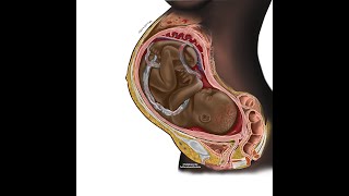 Medical Sip and Paint by Chidiebere Ibe
