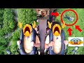 death (another rollercoaster)
