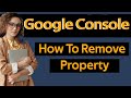 How to remove property in google search console