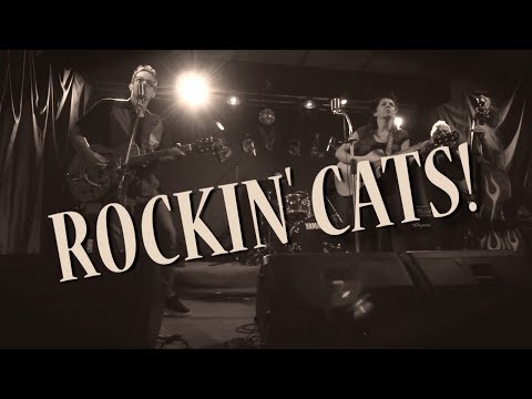 Rockin' Cats - Rockabilly Party & Wedding Band - Promo