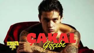 Çakal & Göçebe