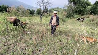 ✅️😃 Está es mi rutina en el campo día a día y se las comparto con mucho gusto 