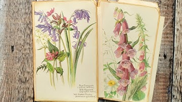 Altered file folder - Edith Holden - The Country Diary  - Finishing the unfinished Pile Part 9