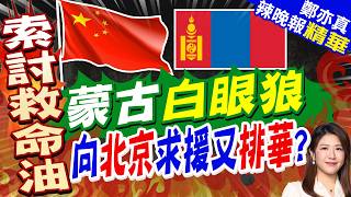 Mongolia Seeks Oil from China Then Smashes Chinese Camp Influencer Incites Factory Attack Offi