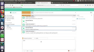 Preview of Chatbot built using Zulip API