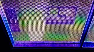 Yusei Vs Trudge Fly On Dj Clyme Amv