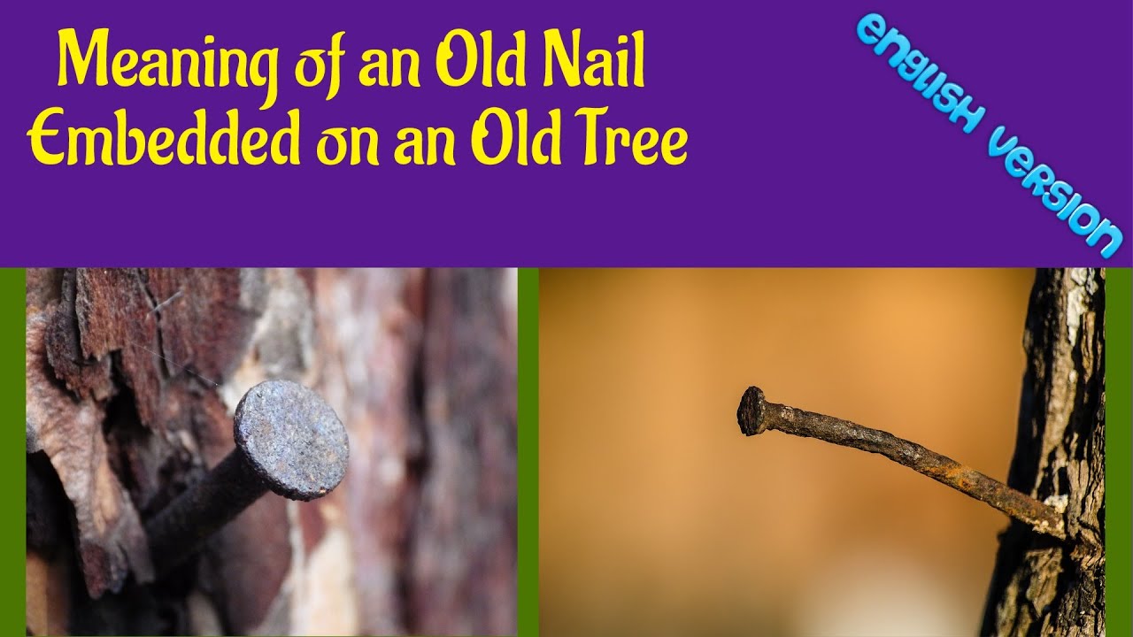 Meaning of an Old Nail Embedded on an Old Tree